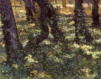 Vincent Van Gogh : Trunks of Trees with Ivy